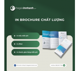 In Brochure Chất Lượng