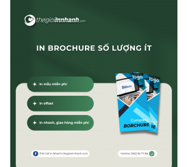 In Brochure Số Lượng Ít
