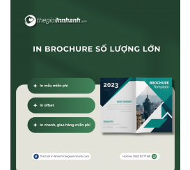 In Brochure Số Lượng Lớn