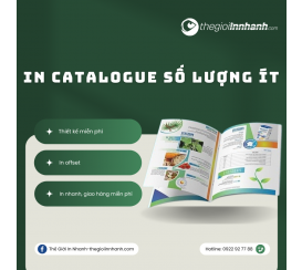 In Catalogue Số Lượng Ít