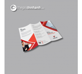 Mẫu Brochure - 06