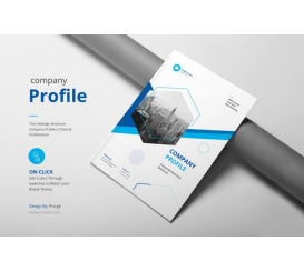 Mẫu Hồ Sơ Năng Lực Công Ty - 01