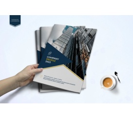 Mẫu Hồ Sơ Năng Lực Công Ty - 03