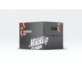 Mẫu Thùng Carton - 04