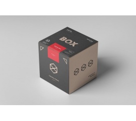 Mẫu Thùng Carton - 05