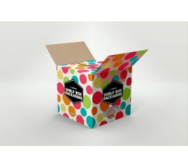 Mẫu Thùng Carton - 06