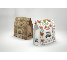 Mẫu Túi Giấy - 05