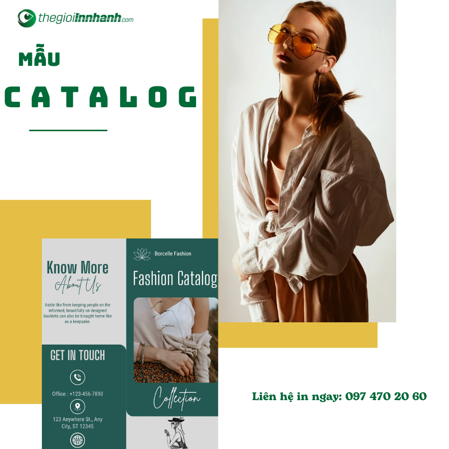 công ty in catalogue lấy ngay giá rẻ