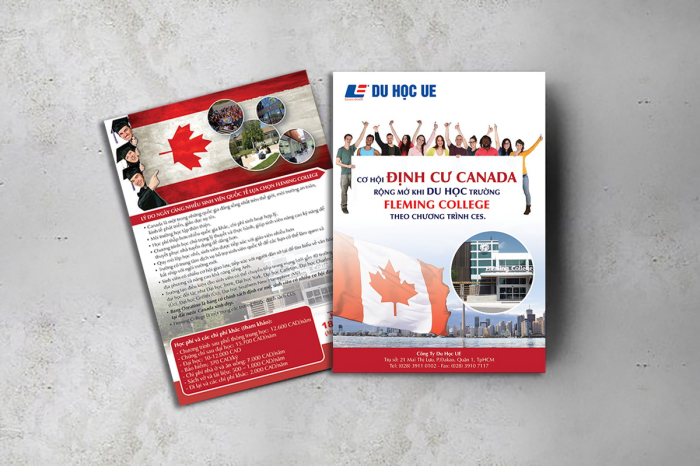 3 Mẫu Hồ Sơ Năng Lực Công Ty Giáo Dục