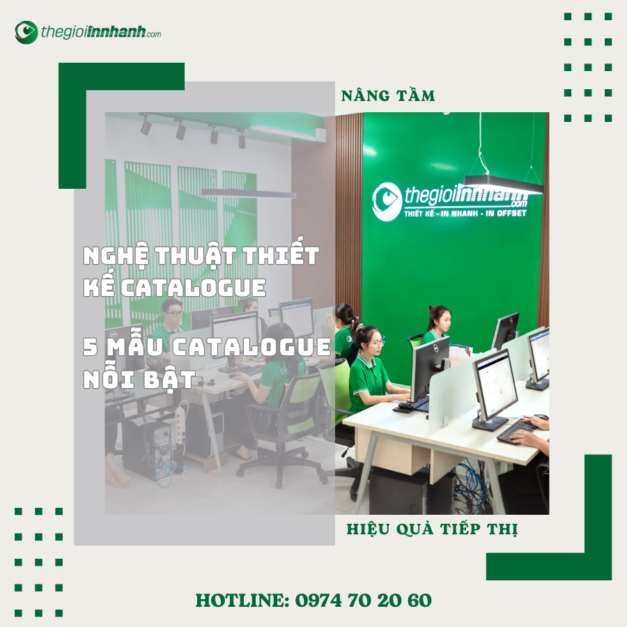 thiết kế catalogue