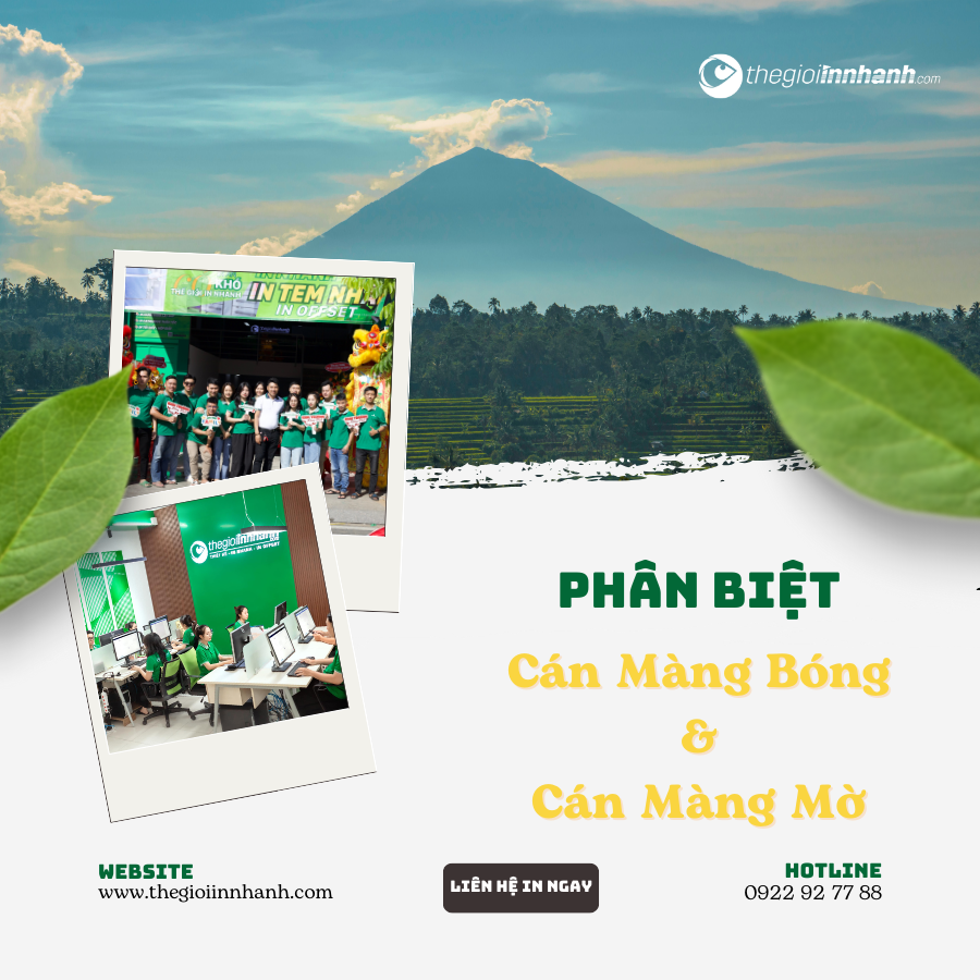 bảng giá in nhanh giá rẻ