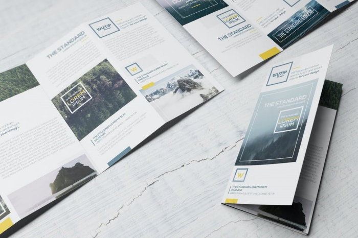 Ở Đâu In Tờ Rơi Màu Giá Rẻ Tại TP HCM Ở Đâu In Tờ Rơi Màu Giá Rẻ Tại TP HCM