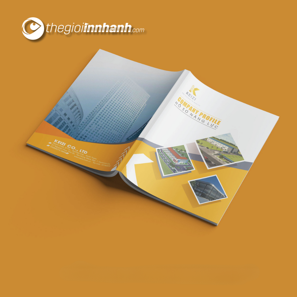 in catalogue giá rẻ