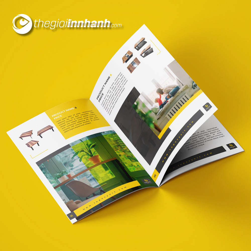 in catalogue giá rẻ