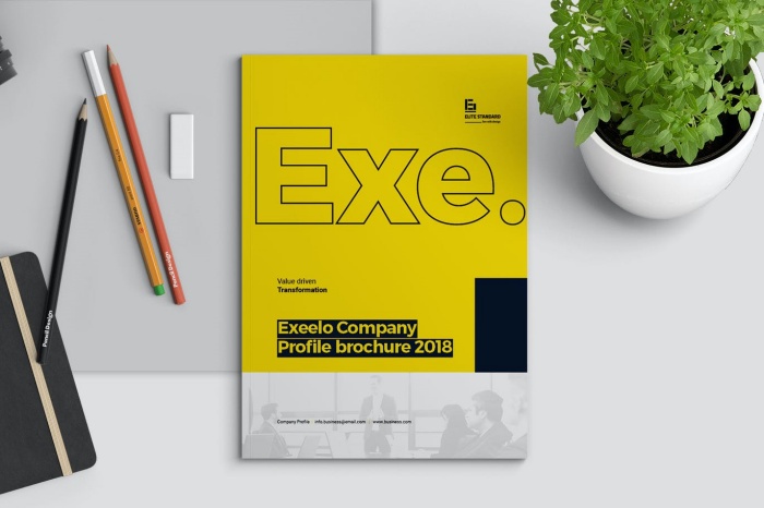 mẫu hồ sơ năng lực công ty - 06