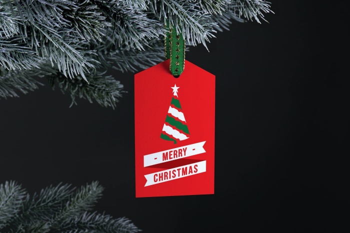 mẫu tag giấy - 06